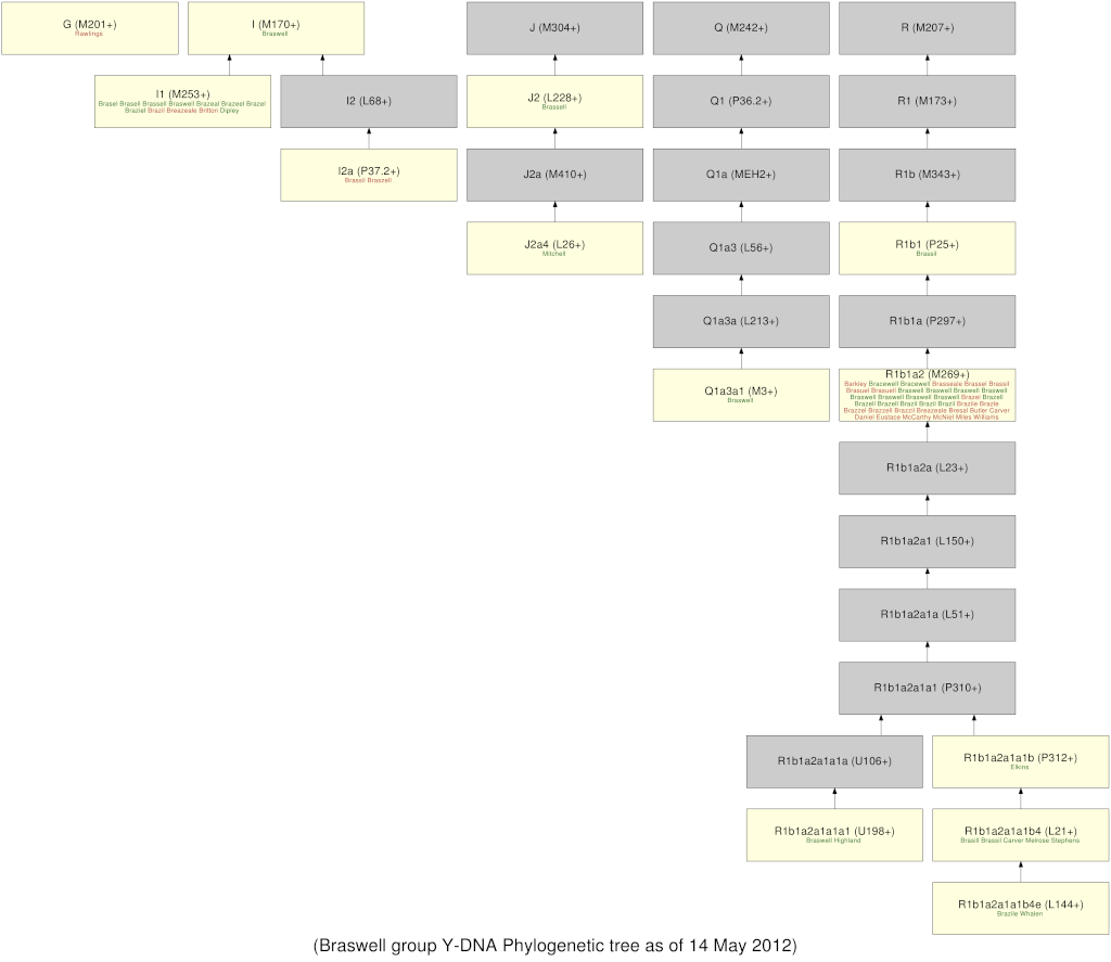 Braswell - Links | FamilyTreeDNA